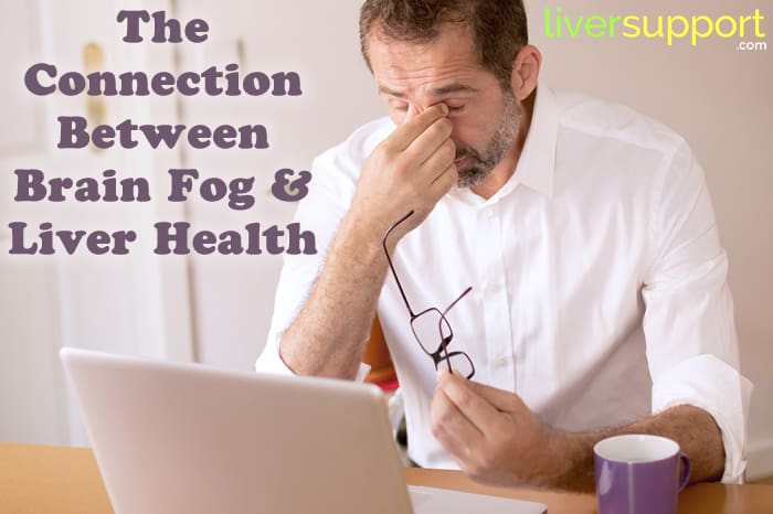 The Connection Between Brain Fog and Liver Health