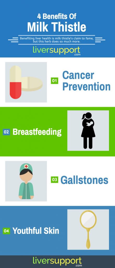 Milk Thistle Infographic