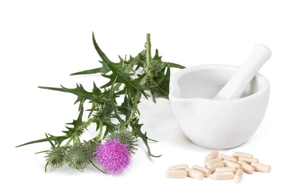 Milk thistle can help support liver health.