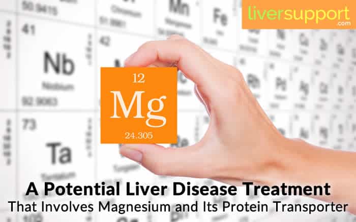 A Potential Liver Disease Treatment That Involves Magnesium and Its Protein Transporter